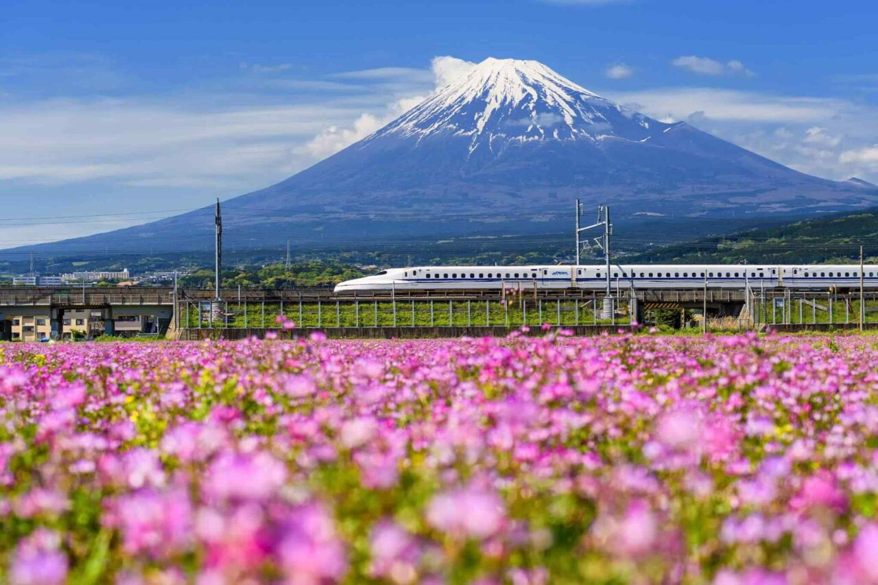 https://safewingsinternational.com/wp-content/uploads/2018/09/tour-osaka-04-1280x854.jpg